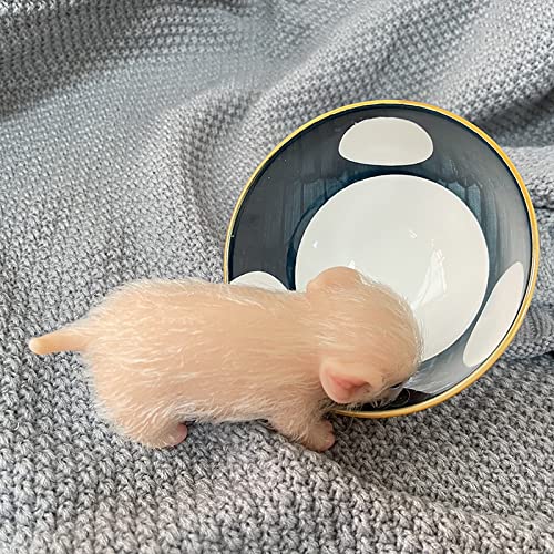 リアルな子豚ちゃん　オブジェ 樹脂 Amazon | LONIAN 5インチ生まれ変わった人形全身シリコーン豚人形